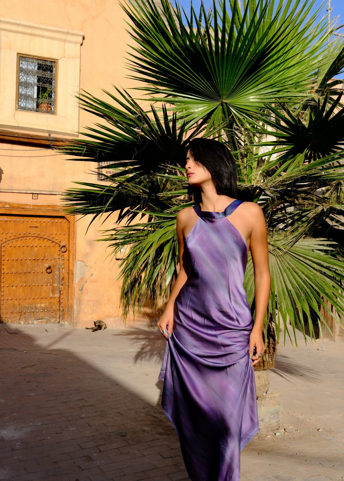 Rihla Silk Dress